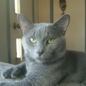 Meet your Posher, Cheri